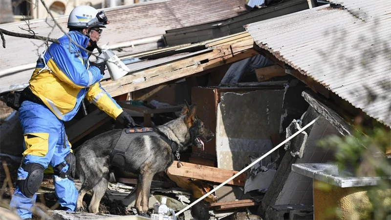 Lực lượng cứu hộ tìm kiếm người mất tích sau động đất tại tỉnh Ishikawa, Nhật Bản, ngày 6/1/2024. (Ảnh: Kyodo/TTXVN)