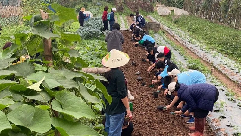 Các em học sinh hào hứng khi được trải nghiệm các công việc nhà nông.