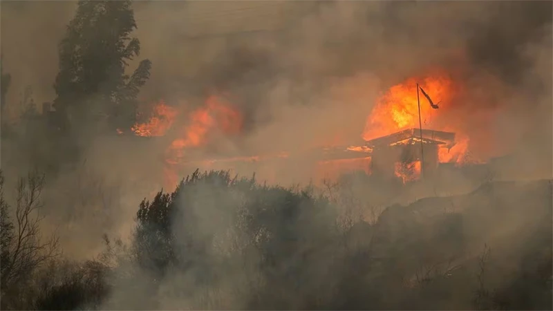 Nhà ở bị thiêu rụi khi đám cháy lan tới Vina del Mar, Chile, ngày 3/2/2024. Ảnh: REUTERS