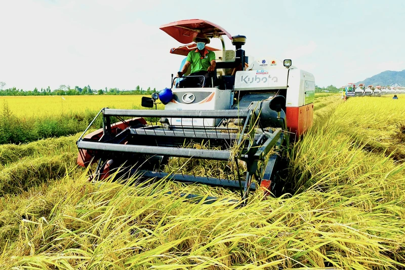 Áp dụng cơ giới hóa trong sản xuất lúa gạo ở đồng bằng sông Cửu Long. Ảnh: Lê Hoàng Vũ