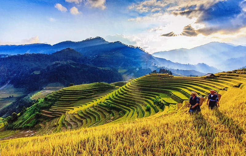 Rừng và ruộng bậc thang - nền tảng để Mù Cang Chải trở thành thiên đường du lịch Tây Bắc. Ảnh: Vũ Chiến