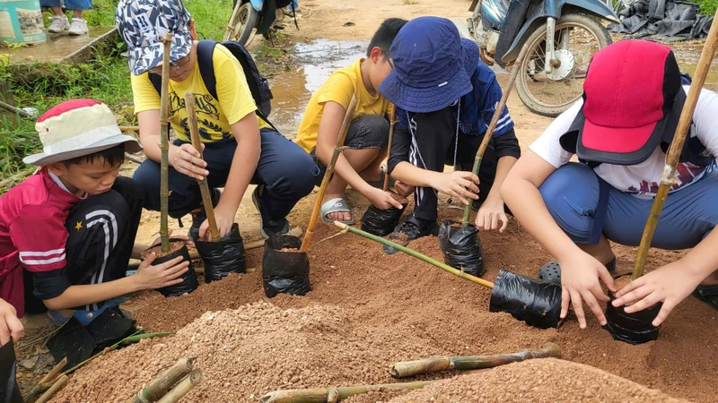 Một nhóm học sinh từ Hà Nội đang tập trồng tre trong bầu đất theo sự hướng dẫn của cán bộ Trung tâm Khoa học lâm nghiệp vùng trung tâm Bắc Bộ, trong một chuyến điền dã tìm hiểu về tre.