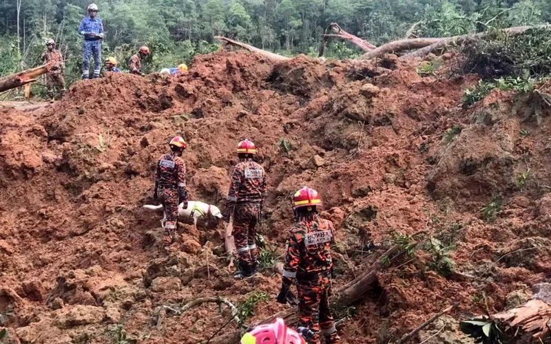 Hiện trường vụ lở đất. (Ảnh REUTERS)