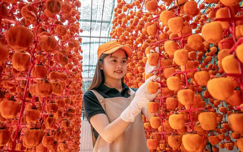 Nông sản từ các tỉnh vùng Tây Nguyên chủ yếu tiêu thụ tại Thành phố Hồ Chí Minh.