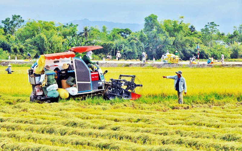 Xã Quảng Thọ, huyện Quảng Ðiền được tỉnh Thừa Thiên Huế chọn triển khai mô hình xã nông thôn mới thông minh.