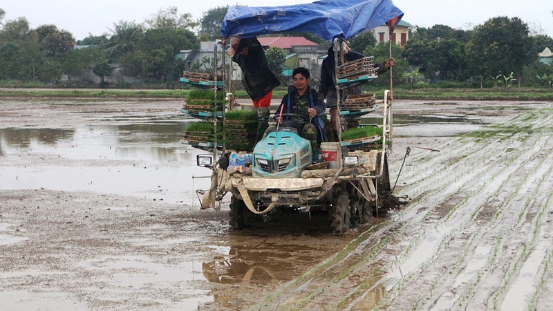 Máy cấy của Hợp tác xã dịch vụ nông nghiệp thị trấn Tân Thanh, huyện Thanh Liêm.