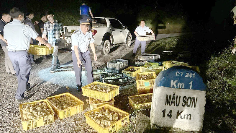 Phòng Cảnh sát kinh tế Công an tỉnh Lạng Sơn, phối hợp Ðội 389 của tỉnh và huyện Lộc Bình phát hiện, thu giữ hơn 4.800 con gà giống nhập lậu.