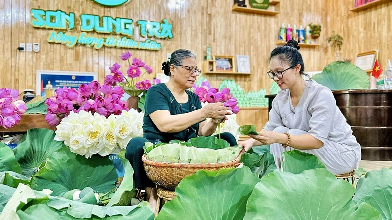 Sản xuất trà sen tại Hợp tác xã trà Sơn Dung (tỉnh Thái Nguyên).