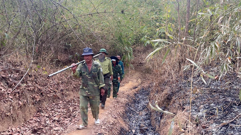 Lực lượng kiểm lâm, nhân viên bảo vệ rừng, chủ rừng đi tuần tra rừng thuộc khu vực xã Hàm Thạnh (huyện Hàm Thuận Nam).