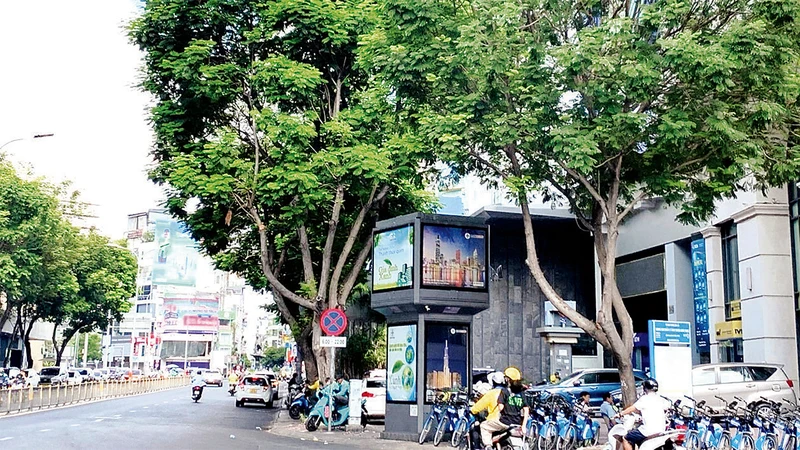 Cây xanh trên đường Phạm Hồng Thái, Quận 1 nằm trong kế hoạch đốn hạ để thi công tuyến Metro số 2.