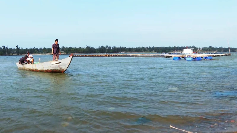 Nhiều mô hình nuôi thủy sản ở xã Tam Hải, huyện Núi Thành mang lại hiệu quả kinh tế cao.