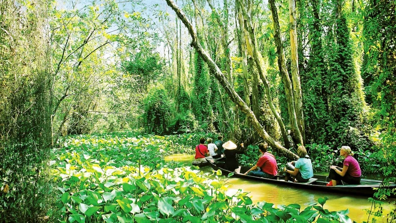 Du lịch khám phá rừng ngày càng được yêu thích. Trong ảnh: Trải nghiệm Khu bảo tồn ngập nước Ðồng Tháp Mười (Long An). (Ảnh LAN PHương)