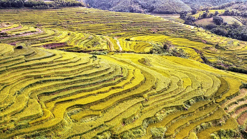 Ruộng bậc thang xã Miền Ðồi, huyện Lạc Sơn, tỉnh Hòa Bình hứa hẹn sẽ là điểm đến du lịch hấp dẫn. (Ảnh TRỌNG ÐẠT)