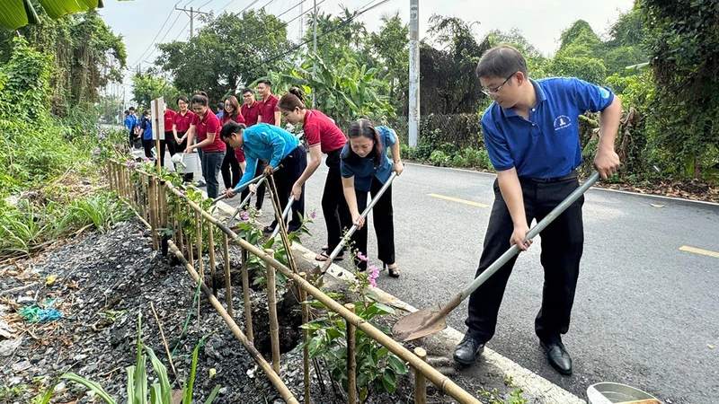 Các bạn trẻ trồng cây, vệ sinh môi trường tại phường An Lạc, quận Bình Tân, Thành phố Hồ Chí Minh.