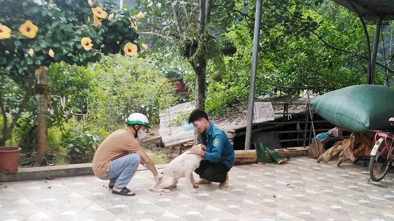 Cán bộ thú y tỉnh Phú Thọ tiêm vắc-xin phòng, chống bệnh dại tại các địa phương trong tỉnh.