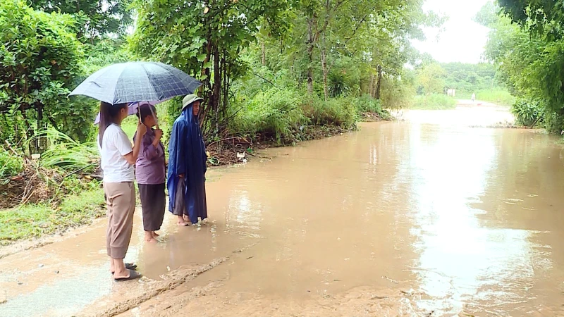 Mưa lớn gây ngập úng cục bộ ở nhiều địa phương trên địa bàn tỉnh Tuyên Quang.