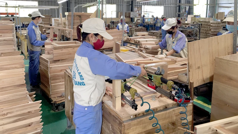 Dây chuyền sản xuất đồ gỗ xuất khẩu của Công ty cổ phần Woodsland Tuyên Quang.