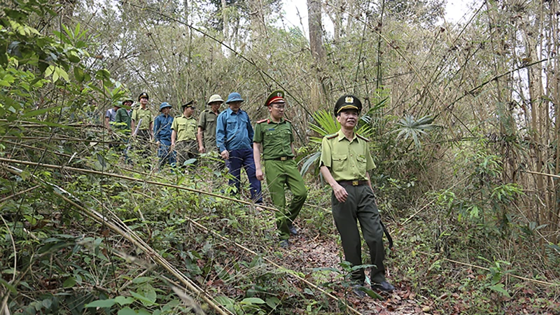 Hạt kiểm lâm huyện Sơn Dương phối hợp các đơn vị và người dân tuần tra rừng đặc dụng Tân Trào.