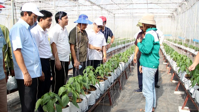 Các đại biểu tham quan mô hình phát triển nông nghiệp thông minh gắn với du lịch trải nghiệm tại Hợp tác xã Rau sạch Yên Dũng. 