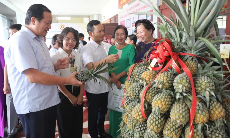 Các đại biểu tham quan gian trưng bày sản phẩm dứa Lạng Giang.