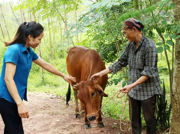 Chị Mạc Thị Vụ (bên phải), thôn Thượng, xã Dương Đức, được hỗ trợ bò sinh sản để có thêm sinh kế.