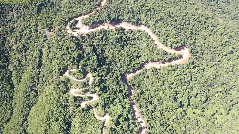 Công ty cổ phần Tập đoàn Đèo Cả san ủi rừng mở tuyến đường dài gần 1km. 