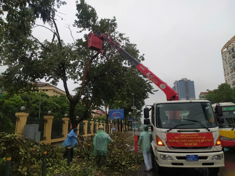 Trung tâm Công viên cây xanh Huế đang hỗ trợ Hà Nội thu dọn cây gãy, đỗ trong bão số 3.