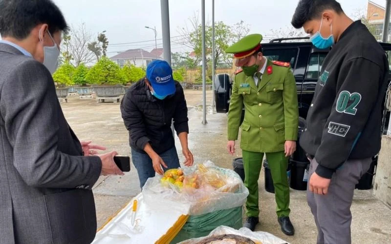 Lực lượng Cảnh sát môi trường, Công an tỉnh Thừa Thiên Huế phát hiện, bắt giữ lô hàng nội tạng bò không rõ nguồn gốc vận chuyển qua địa bàn vào tháng 2/2022. (Ảnh: Công an cung cấp)