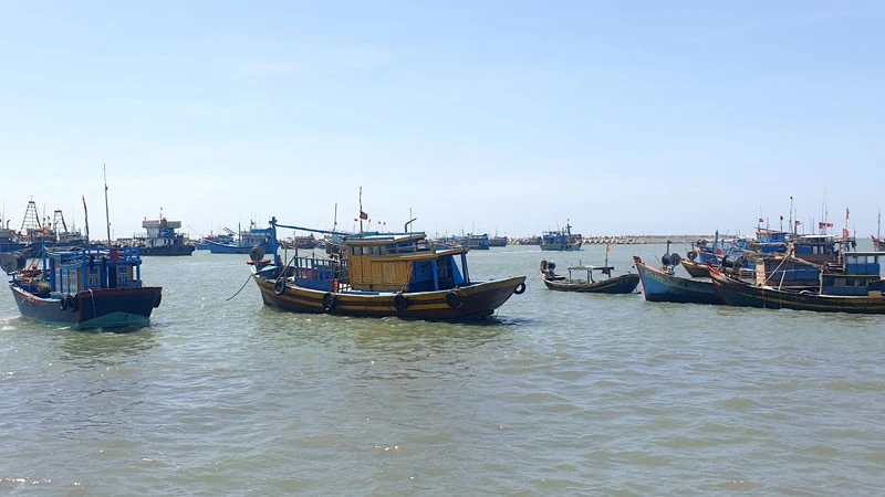 Tàu cá neo đậu tại Cảng cá La Gi, Bình Thuận. (Ảnh: Đình Châu) 