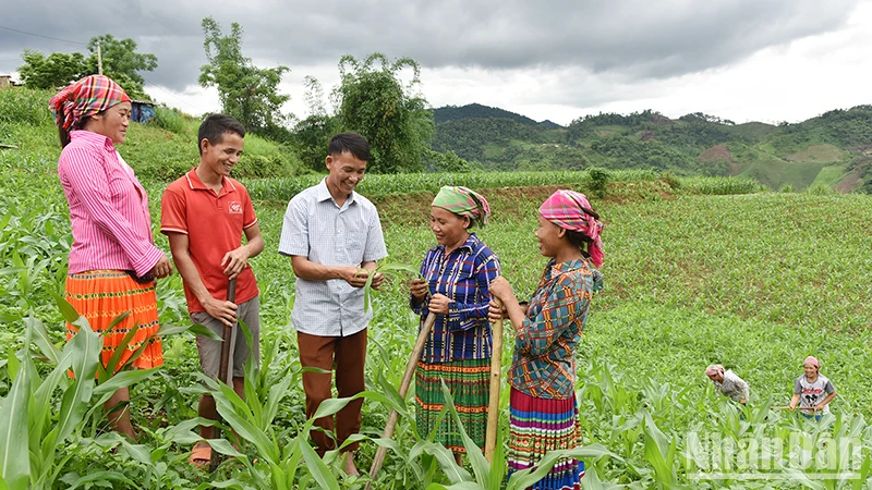 Hướng dẫn người dân bản Tà Han, xã Xuân Lạc, huyện Chợ Đồn, Bắc Kạn, trồng ngô năng suất cao. (Ảnh: Trần Hải)