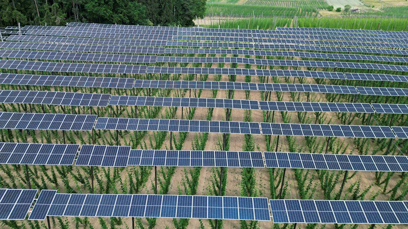 Pin năng lượng mặt trời được lắp tại một đồn điền ở Đức. (Ảnh REUTERS)