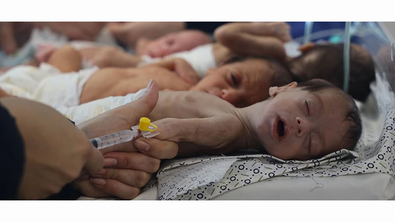 Trẻ sơ sinh tại bệnh viện Al-Shifa, Dải Gaza, được chuẩn bị sơ tán. Ảnh: UNICEF.