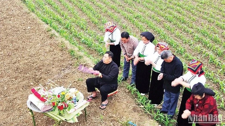 Lễ hội cầu mưa của người Thái trắng, xã Mường Sang, huyện Mộc Châu, tỉnh Sơn La. (Ảnh: QUỐC TUẤN)