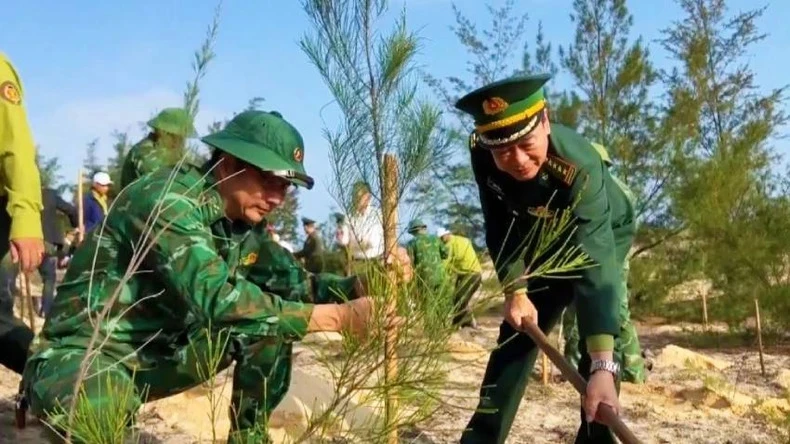 Bộ đội biên phòng Quảng Bình tham gia trồng cây phi-lao chắn gió ven biển, tháng 2/2024. (Ảnh: HƯƠNG GIANG) 