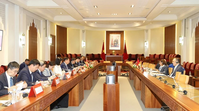 Đoàn đại biểu Đảng Cộng sản Việt Nam làm việc với Phó Chủ tịch Hạ viện Maroc Nadia Touhami. (Ảnh: TTXVN)