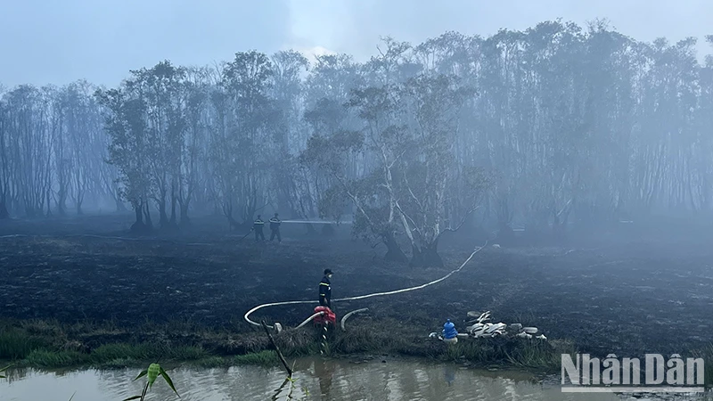 Lực lượng chức năng tích cực chữa cháy rừng tại Vườn quốc gia Tràm Chim