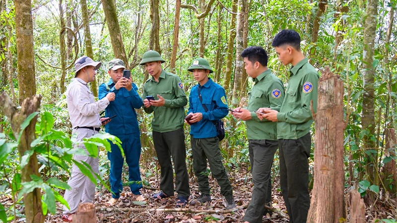 Cán bộ kiểm lâm sử dụng phần mềm smart mobile trong quản lý rừng tại Khu dự trữ thiên nhiên Mường Nhé, tỉnh Điện Biên. (Ảnh TẠ PHƯƠNG)