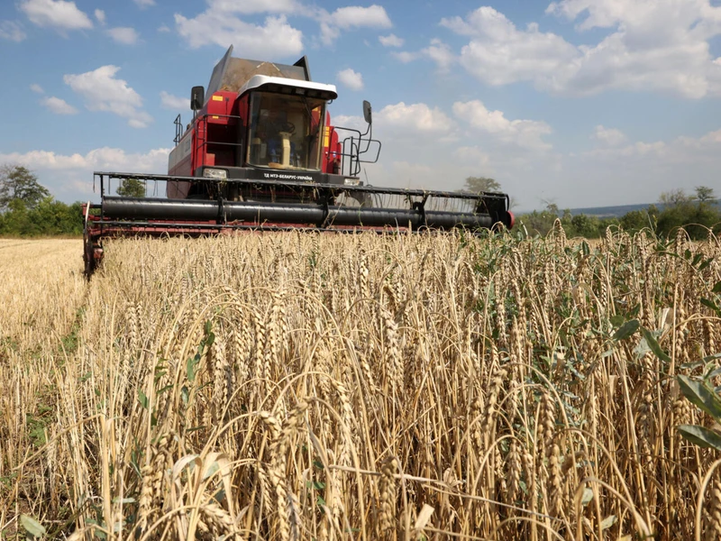 EU trở thành tuyến đường vận chuyển chính của ngũ cốc Ukraine kể từ khi Nga chấm dứt “Thỏa thuận ngũ cốc Biển Đen”. Ảnh | Anatoli Stepanov/ AFP 
