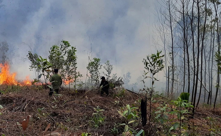 Lực lượng chức năng dập lửa một đám cháy rừng tại thành phố Bắc Kạn. (Ảnh: THU TRANG).