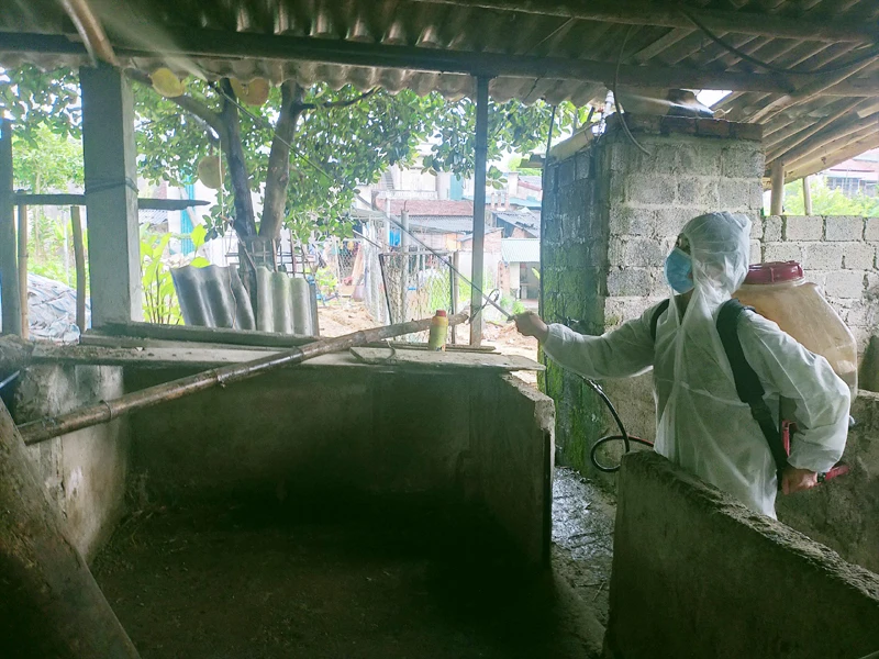 Người dân huyện Bạch Thông phun thuốc vệ sinh chuồng trại chăn nuôi phòng ngừa lây lan dịch tả lợn châu Phi.
