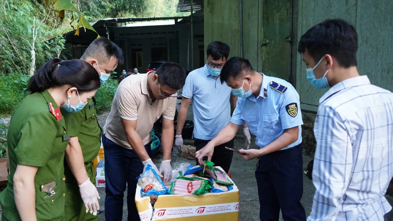 Lực lượng chức năng kiểm tra thực phẩm đông lạnh hết hạn sử dụng vừa phát hiện. (Ảnh: NGỌC ÁNH).