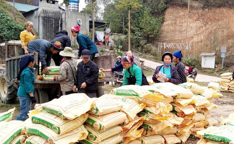 Người dân xã Trung Hòa, huyện Ngân Sơn nhận phân bón hỗ trợ sản xuất. Ảnh: THU TRANG