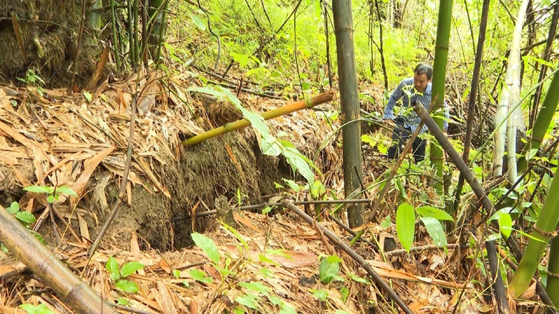 Vết nứt kéo dài trên đồi cao tại khu vực tổ 4, phường Đức Xuân, thành phố Bắc Kạn đe dọa tới an toàn của 60 hộ dân. (Ảnh: TUẤN SƠN)