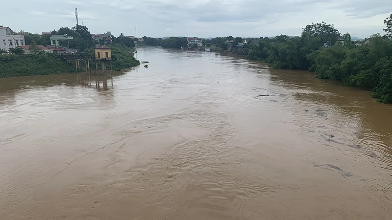 Nước trên sông Bưởi đang lên.