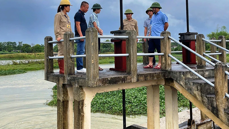 Cán bộ thủy nông kiểm tra mực nước, vận hành cống tiêu.