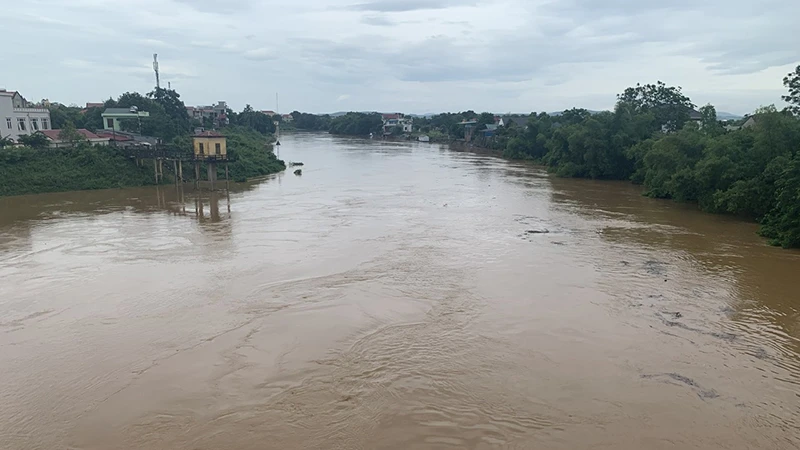 Nước trên sông Bưởi tại Kim Tân.