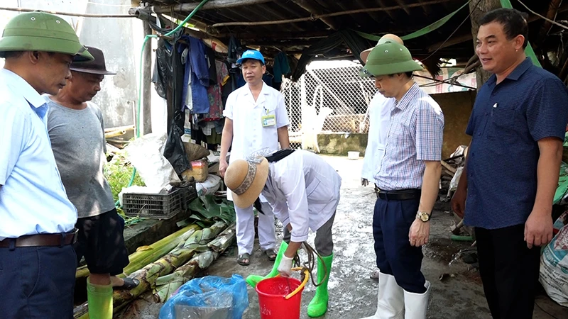 Cán bộ, nhân viên y tế hướng dẫn pha phèn chua xử lý nguồn nước phục vụ sinh hoạt.