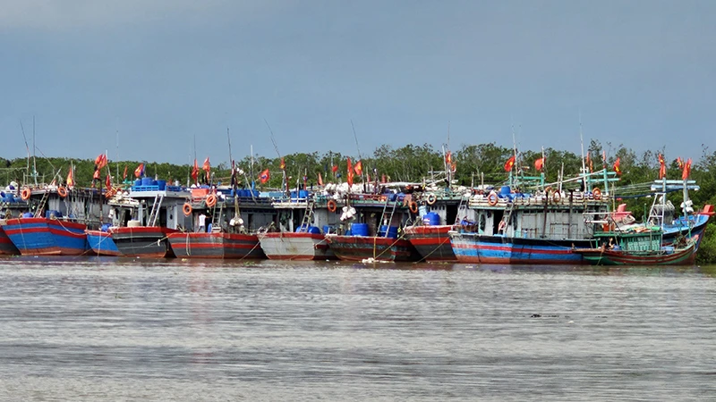 Tàu thuyền neo đậu trong lạch Trường, phía huyện Hậu Lộc, tỉnh Thanh Hóa.