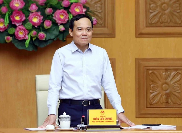 Phó Thủ tướng Trần Lưu Quang phát biểu ý kiến chỉ đạo cuộc họp. 