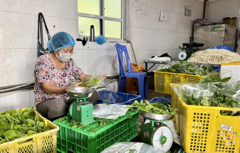 Sơ chế rau tại Hợp tác xã sản xuất và dịch vụ nông nghiệp Thanh Hà (Hà Nội).